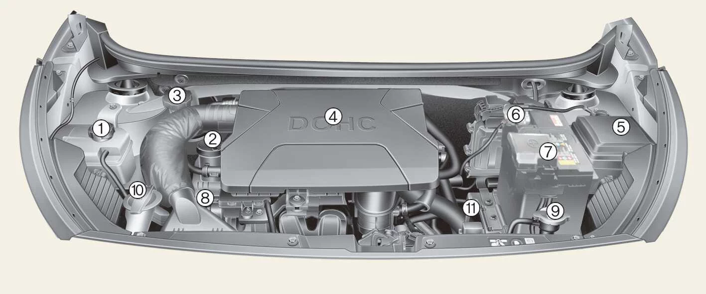 Kia Picanto 1.0 MPI petrol engine compartment diagram showing fluid reservoirs, service points and battery terminals