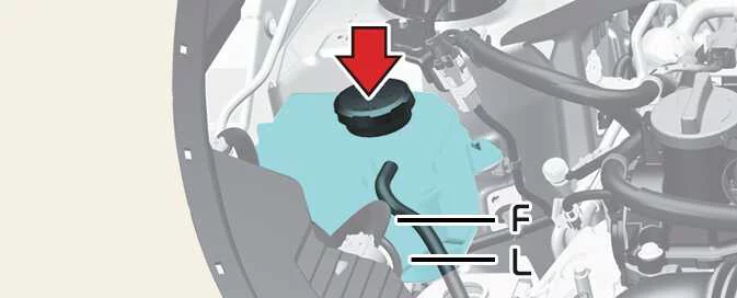 Kia Picanto coolant reservoir showing the coolant level marks